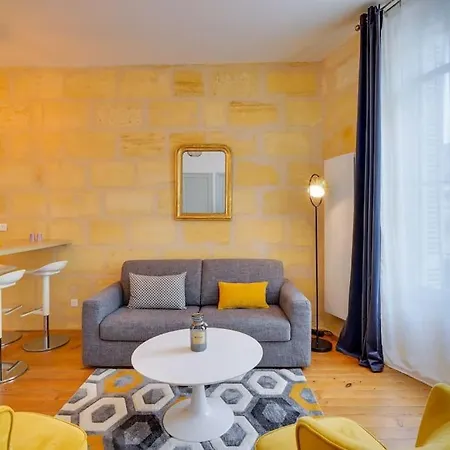 Apartment Charmant Lumineux -coeur Historique- 4 *